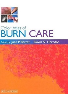 Color Atlas Of Burn Care