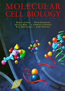 Molecular Cell Biology