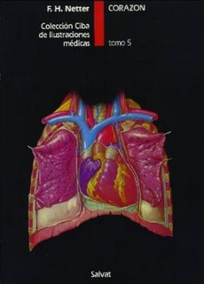 5 : Corazon