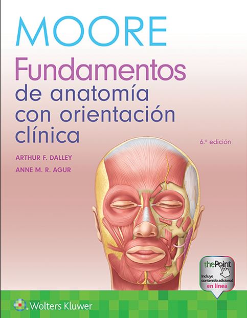 Fundamentos De Anatomia Con Orientacion Clinica 6Ed.