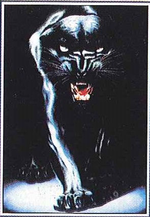 076: The Black Panter (75 X 110)