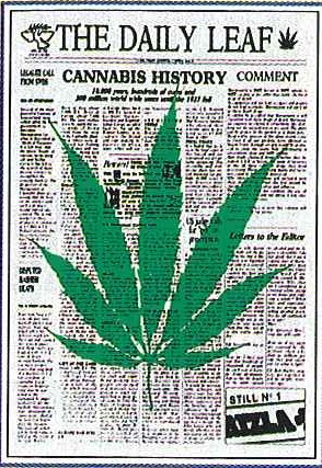 107: The Daily Leaf (75 X 110)